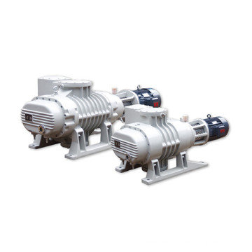 Industrial Roots Vacuum Pumps